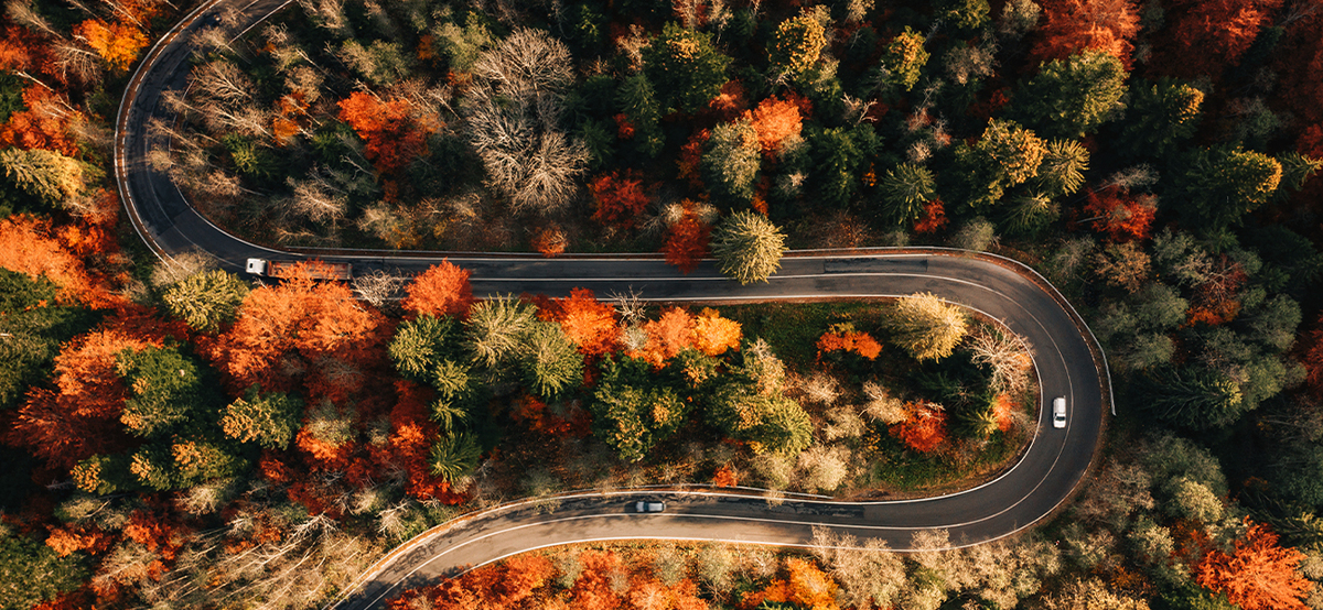 arial view of winding road with fall colored trees