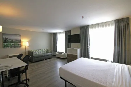 Deluxe Studio - 1 Queen Bed