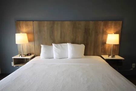 1 Bedroom Suite - 1 King Bed
