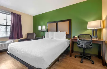Studio Suite - 1 Queen Bed