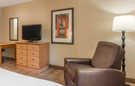 Studio Suite - 1 King Bed