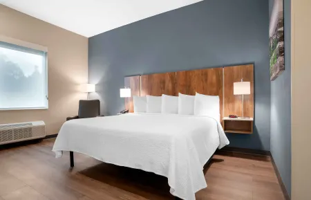 Studio Suite - 1 King Bed