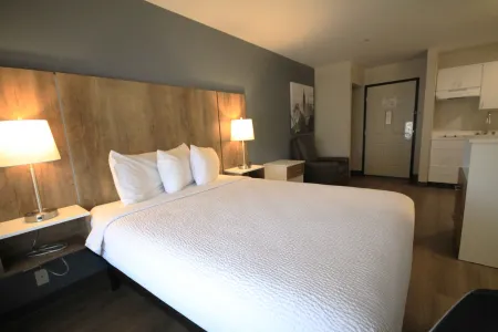 Studio Suite - 1 Queen Bed