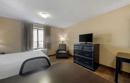 Studio Suite - 1 Queen Bed