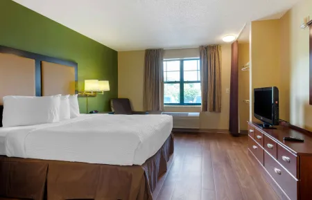 Studio Suite - 1 Queen Bed
