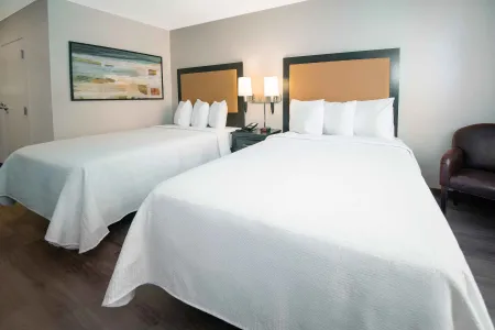 Studio Suite - 2 King Beds