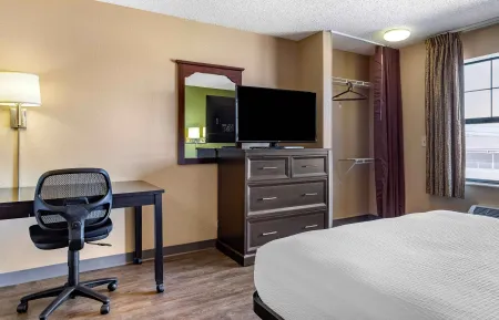 Studio Suite - 1 Queen Bed