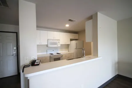 1 Bedroom Suite - 1 King Bed