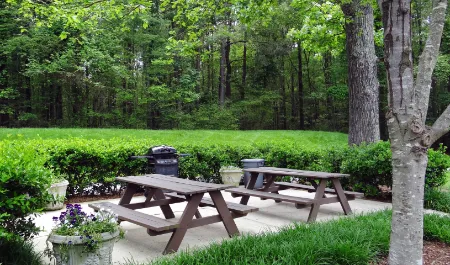 Picnic Area