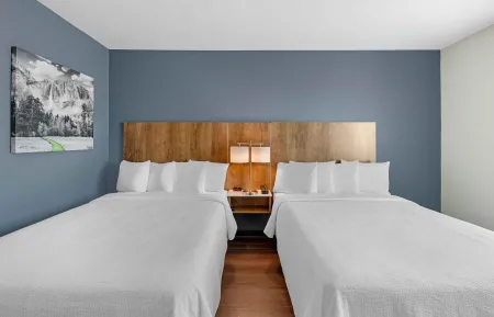 Studio Suite - 2 Queen Beds